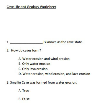 Cave Life Worksheet