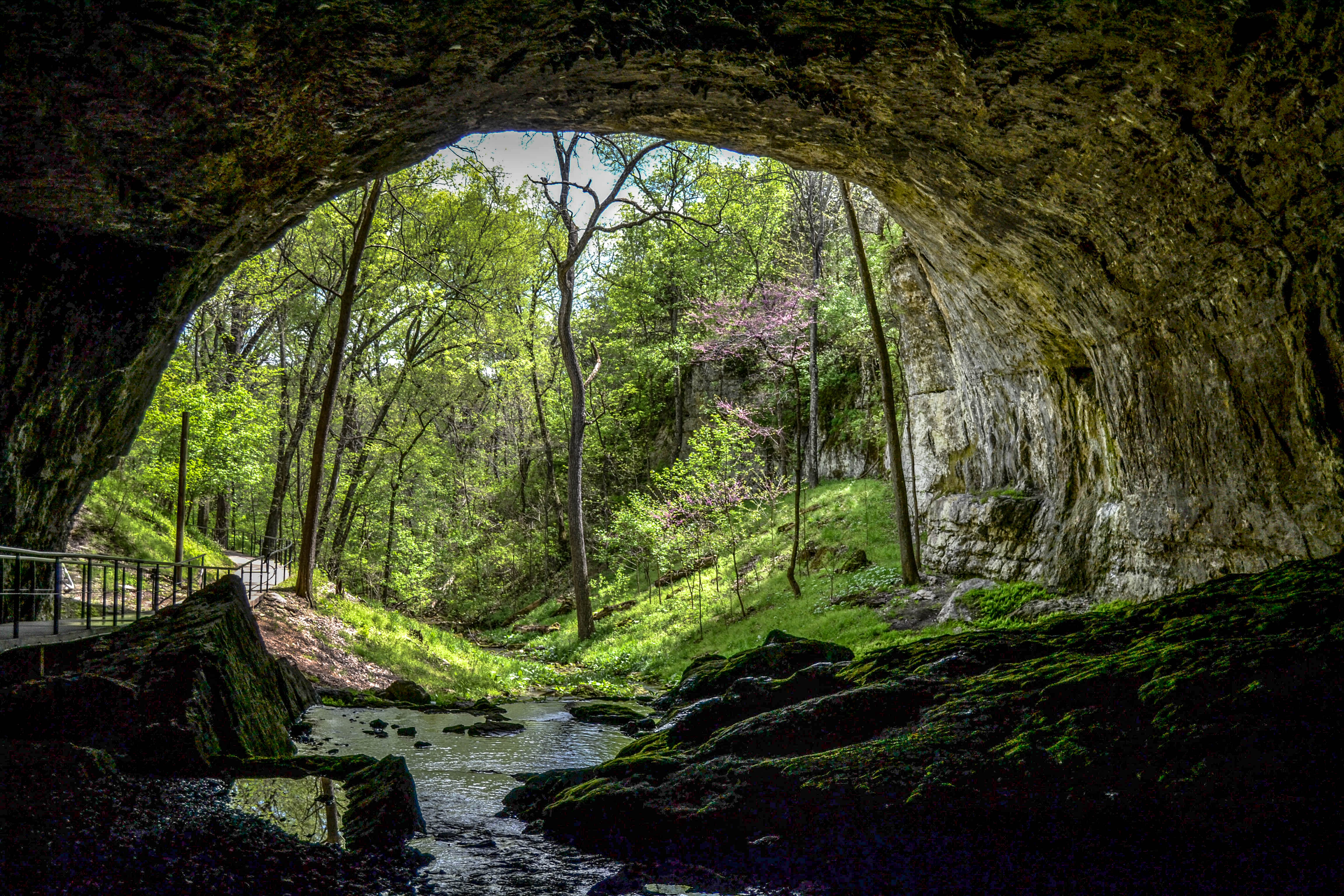 Cave Entrance