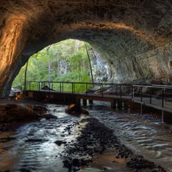 Inside the cave looking out of the entrance