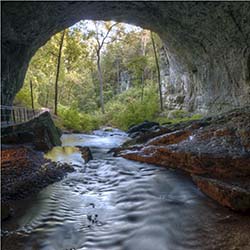 Looking from the Inside Out of Cave Entrance